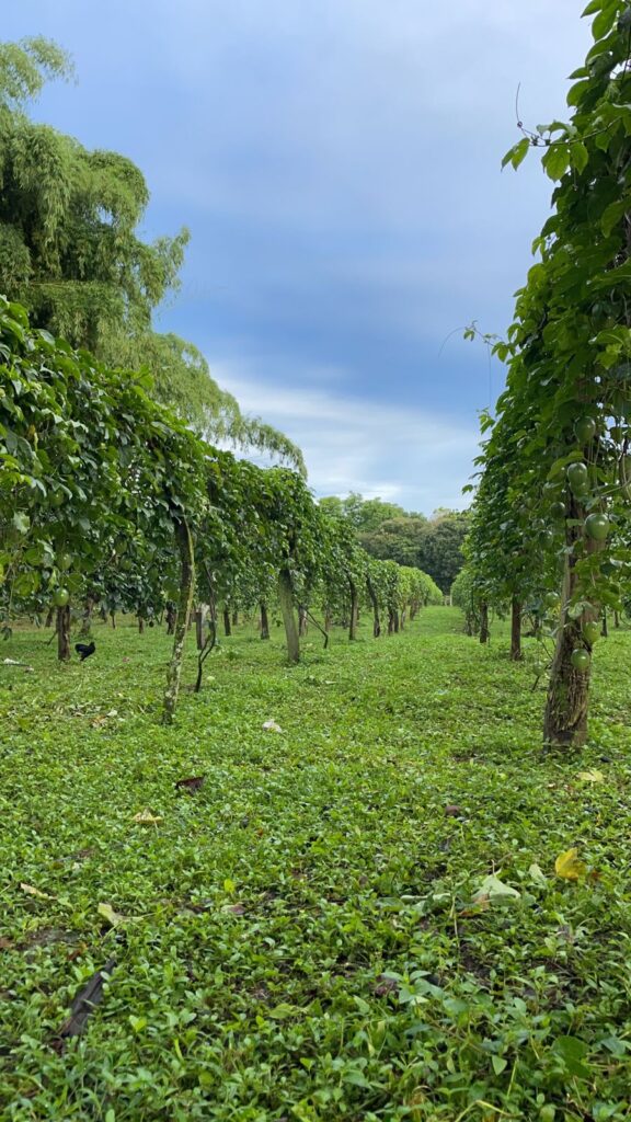 WhatsApp Image 2023-08-22 at 5.52.48 PM