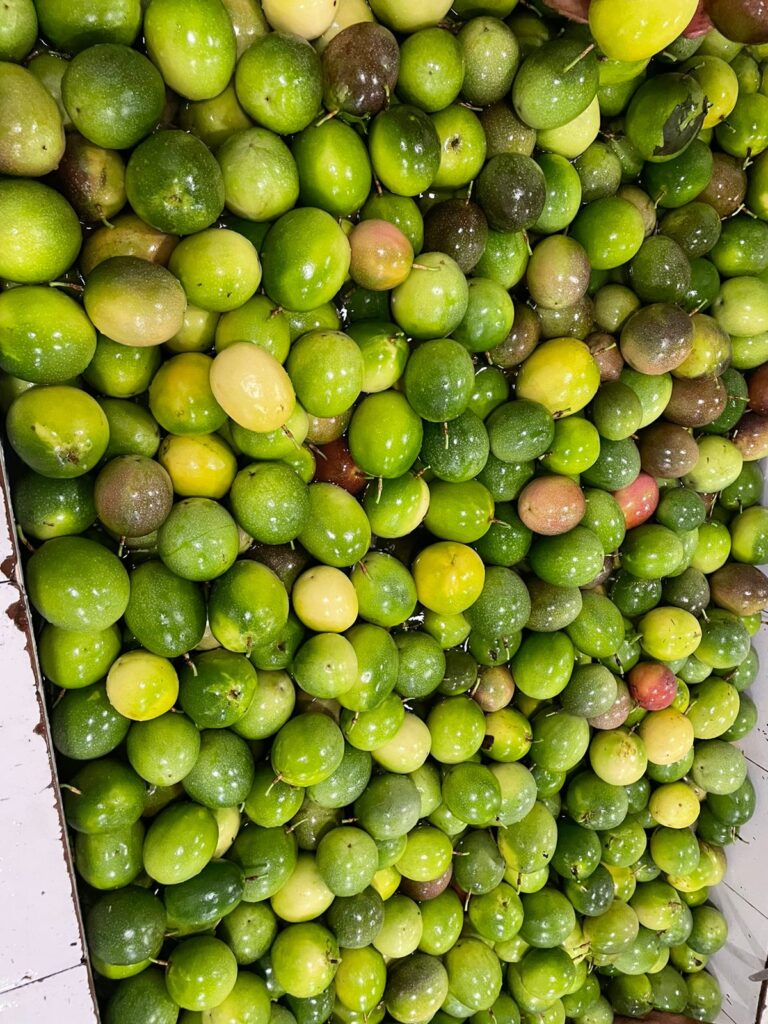 WhatsApp Image 2023-08-22 at 5.52.51 PM (1)