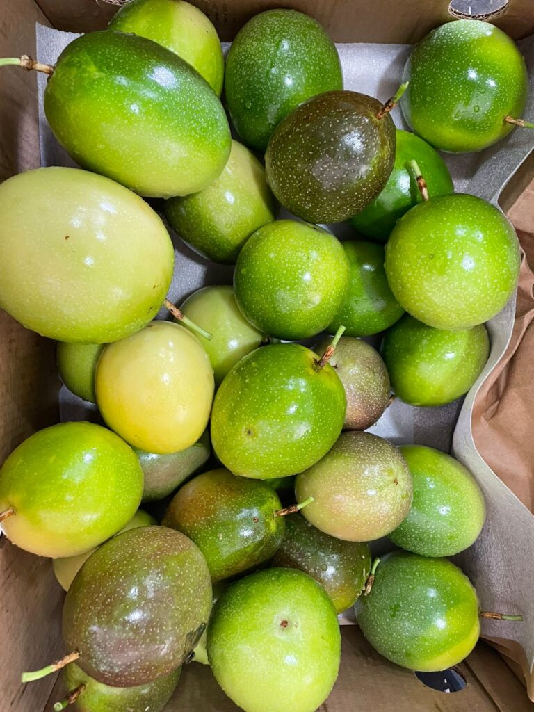 WhatsApp Image 2023-08-22 at 5.52.51 PM