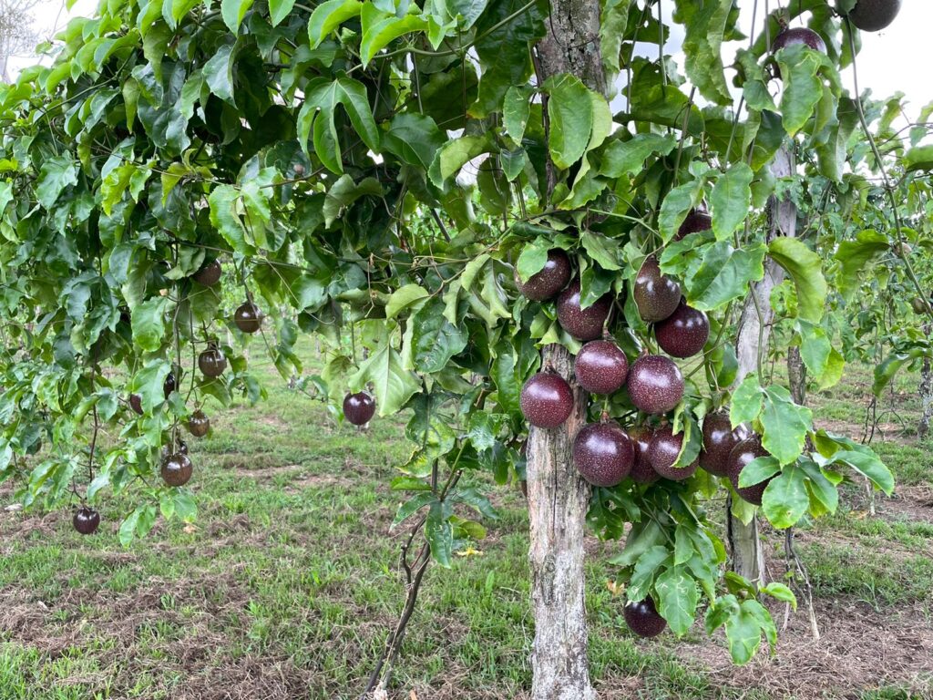 WhatsApp Image 2023-08-22 at 5.52.55 PM