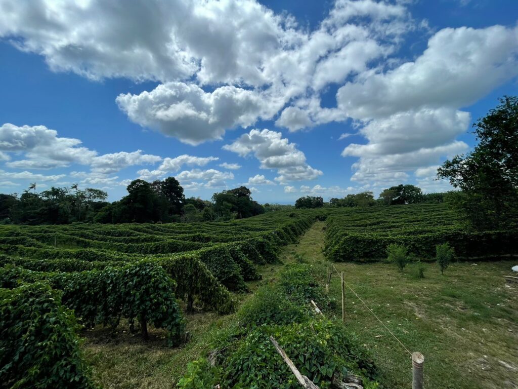 WhatsApp Image 2023-08-22 at 5.52.59 PM