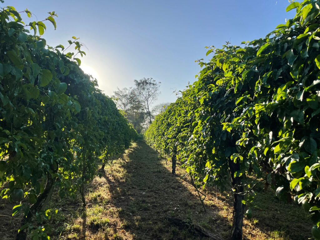 WhatsApp Image 2023-08-22 at 5.53.00 PM (1)