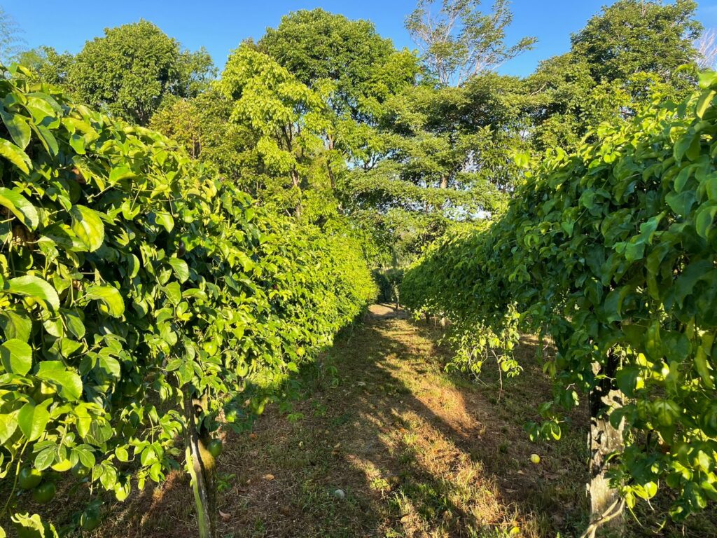 WhatsApp Image 2023-08-22 at 5.53.00 PM