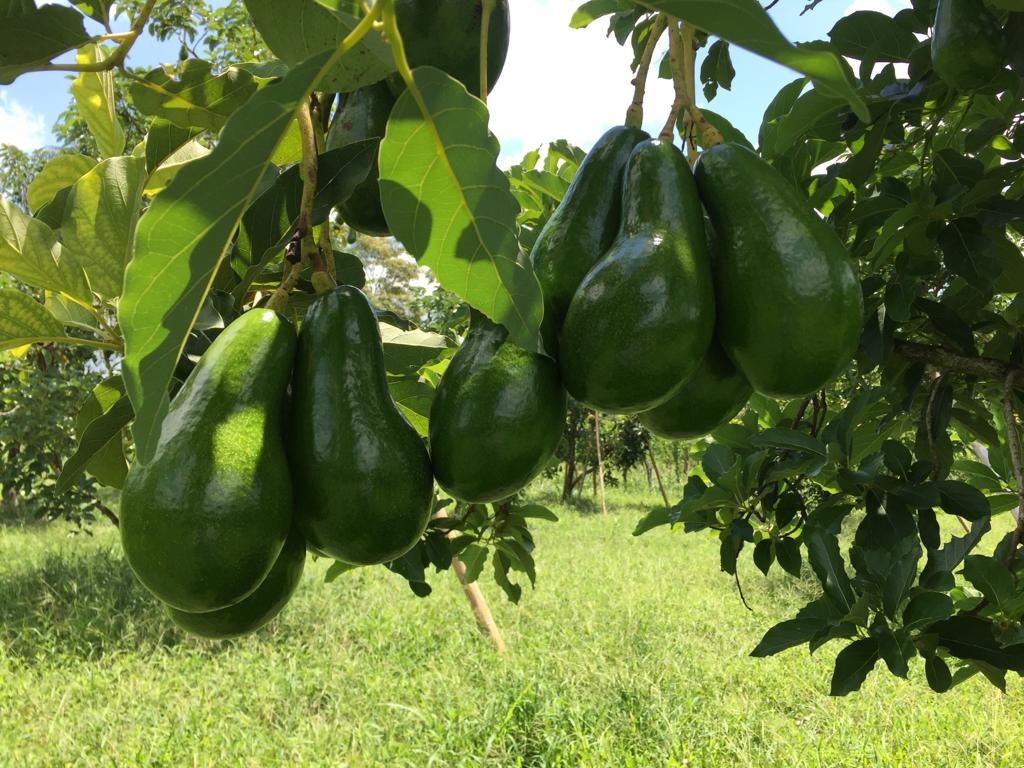 WhatsApp Image 2023-09-18 at 8.41.02 PM