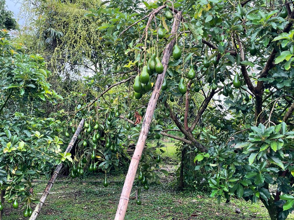 WhatsApp Image 2023-09-18 at 8.41.03 PM (2)