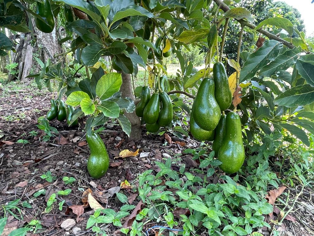 WhatsApp Image 2023-09-18 at 8.41.03 PM (4)