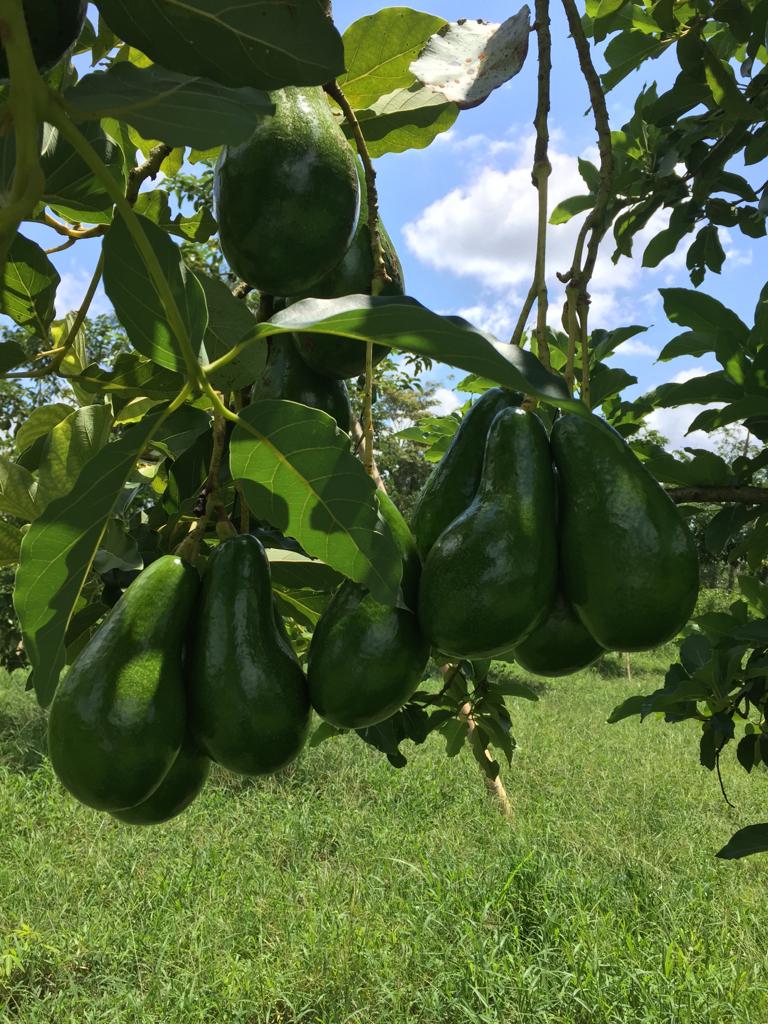 WhatsApp Image 2023-09-18 at 8.41.03 PM (7)