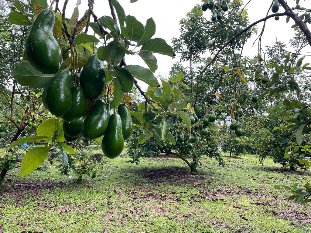 WhatsApp Image 2023-09-18 at 8.41.03 PM (9)