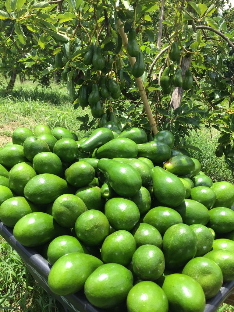 WhatsApp Image 2023-09-18 at 8.41.03 PM